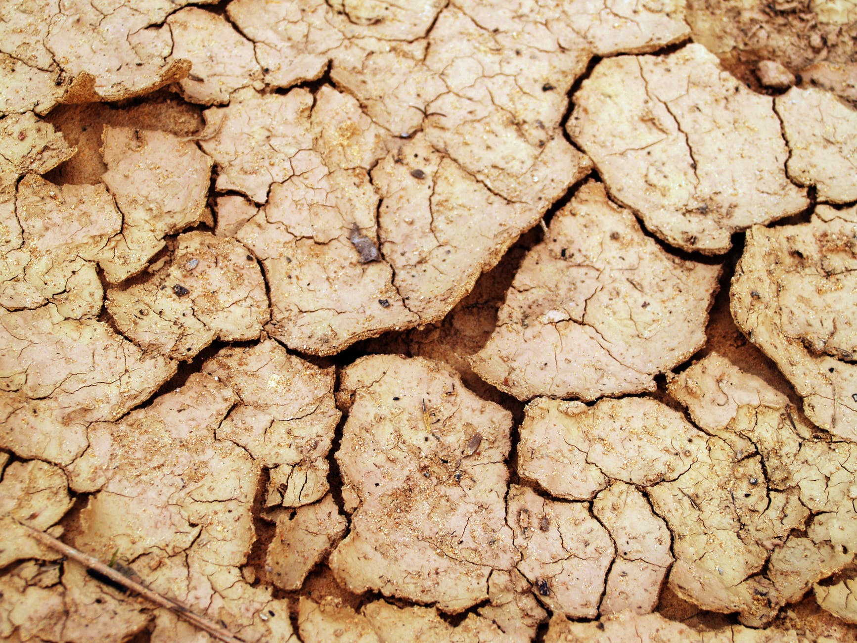 arid clay close up cracks